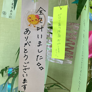 20250707_tanabata01.jpg